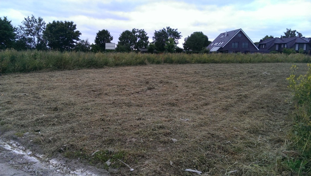 Holzständerwerk – Seite 2 – Hallo "Erwachsenen-Welt"